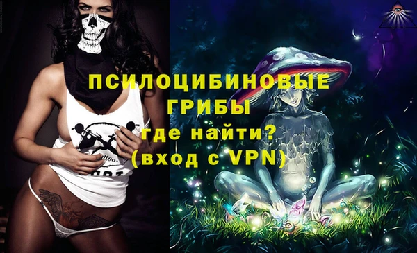 ГАЛЛЮЦИНОГЕННЫЕ ГРИБЫ Абдулино