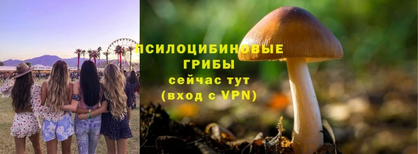 ГАЛЛЮЦИНОГЕННЫЕ ГРИБЫ Абдулино