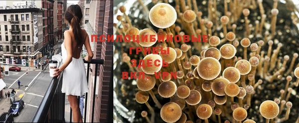 ГАЛЛЮЦИНОГЕННЫЕ ГРИБЫ Абдулино