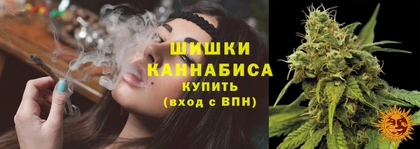 ГАЛЛЮЦИНОГЕННЫЕ ГРИБЫ Абдулино