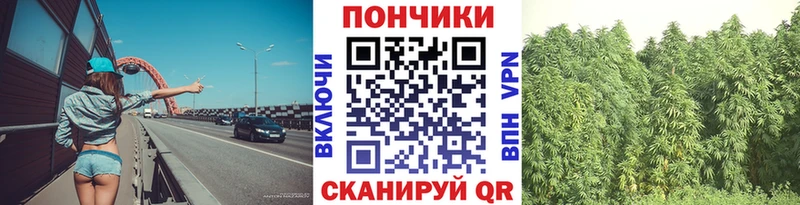 Каннабис Ganja  цена   сайты даркнета какой сайт  Сусуман 